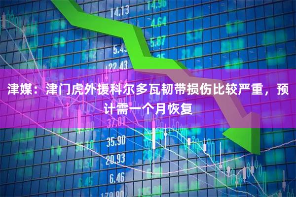 津媒：津门虎外援科尔多瓦韧带损伤比较严重，预计需一个月恢复