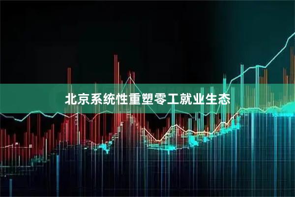 北京系统性重塑零工就业生态