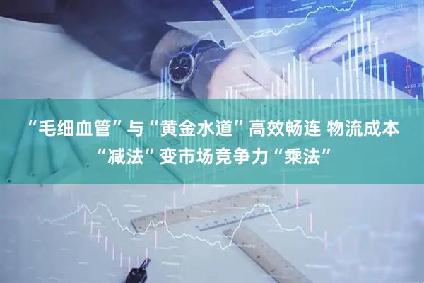 “毛细血管”与“黄金水道”高效畅连 物流成本“减法”变市场竞争力“乘法”